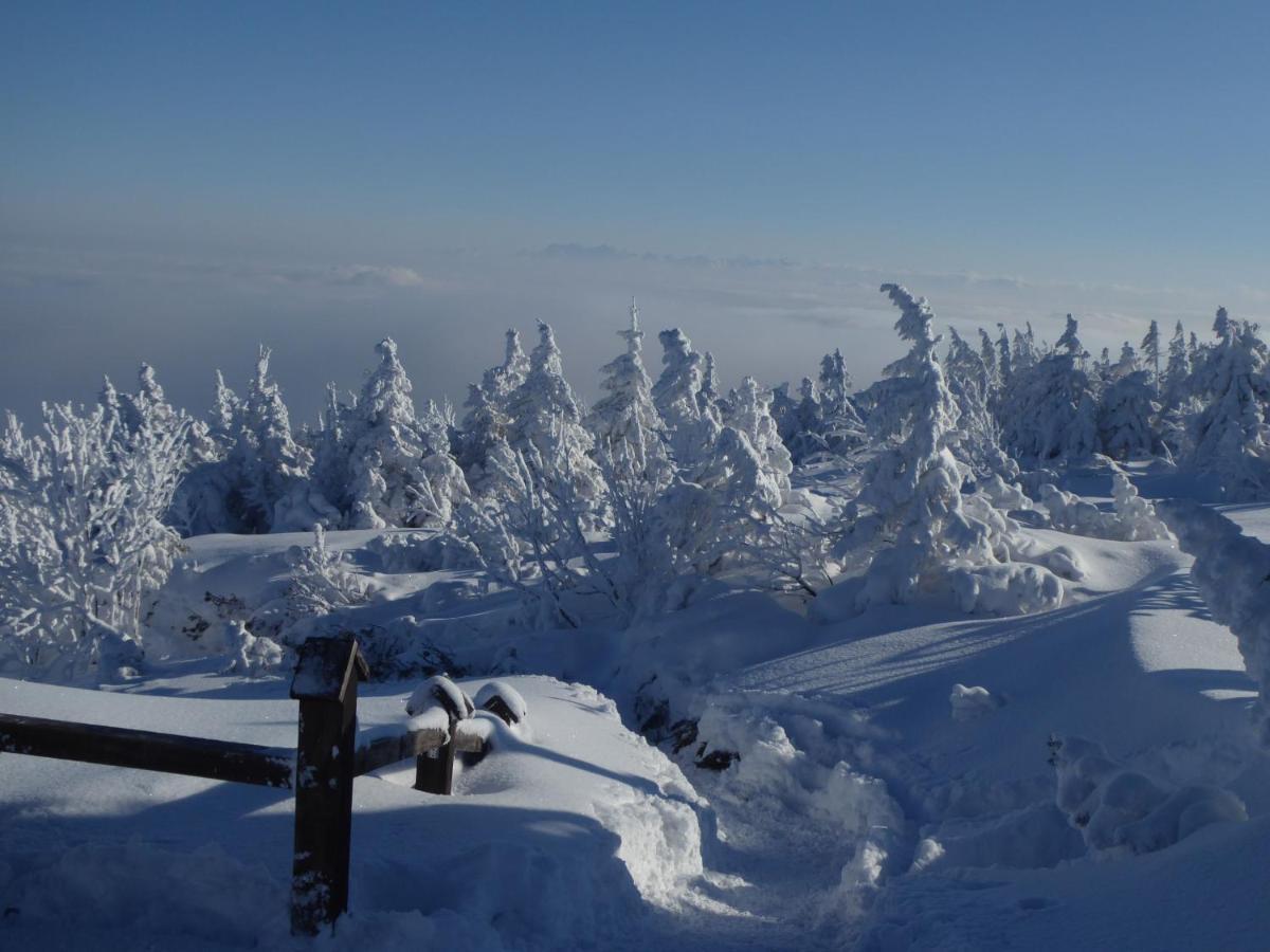 Pokoje Goscinne - Za Borem Zubrzyca Gorna Экстерьер фото